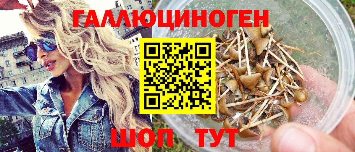 Галлюциногенные грибы мицелий Саянск